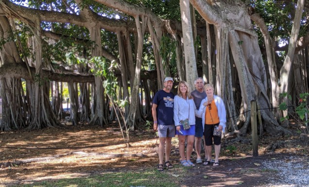 Largest banyan tree in the continental US. 3/4 of an acre